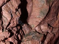 Urlaubsstammtisch 01.08.2015 0027