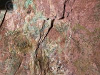 Urlaubsstammtisch 01.08.2015 0036