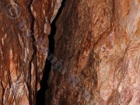 Urlaubsstammtisch 01.08.2015 0069