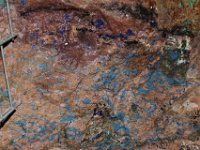 Urlaubsstammtisch 01.08.2015 0071