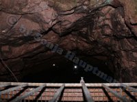 Urlaubsstammtisch 01.08.2015 0088