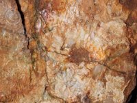 Urlaubsstammtisch 01.08.2015 0092