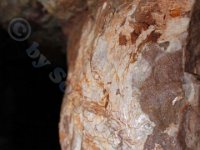 Urlaubsstammtisch 01.08.2015 0116