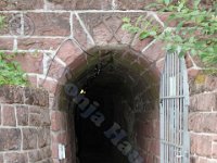 Urlaubsstammtisch 01.08.2015 0128