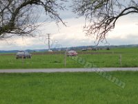 Rallye Ostalb 16.04.2016 0641